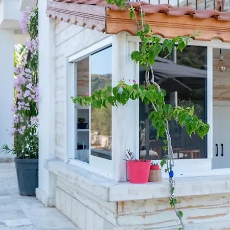 Palamut Butik 酒店